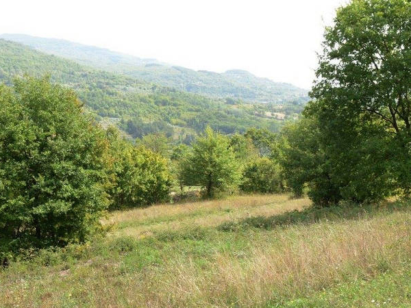 regala la caccia in Italia Baciano Toscana Arezzo