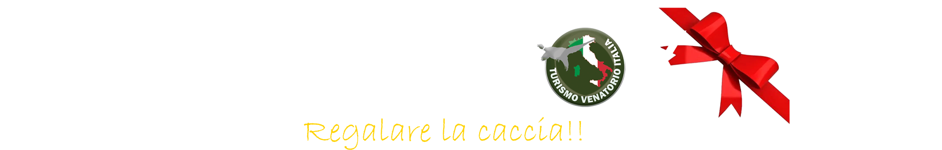cacciabox regala la caccia