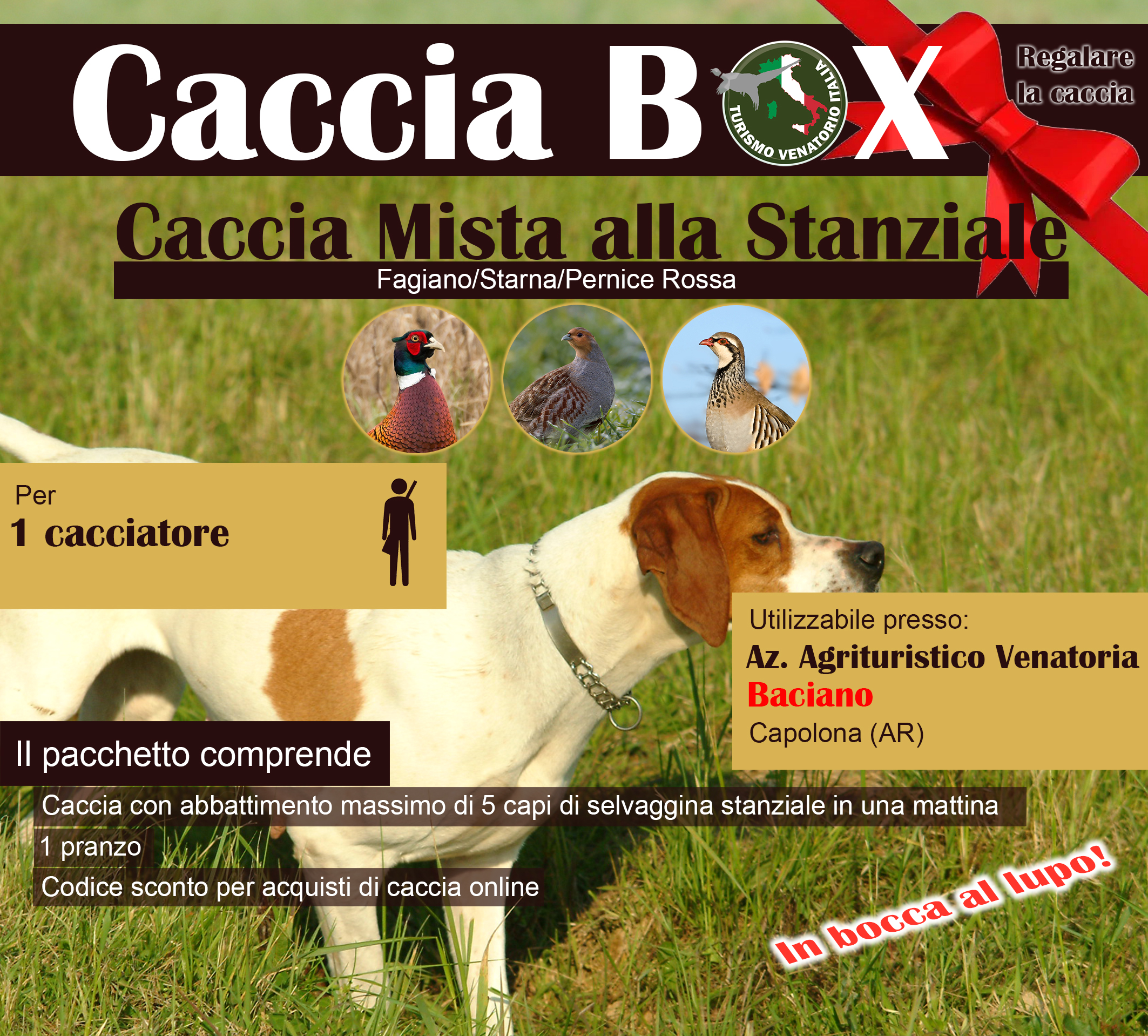regala la caccia in Italia Baciano Toscana fagiano starna pernice rossa